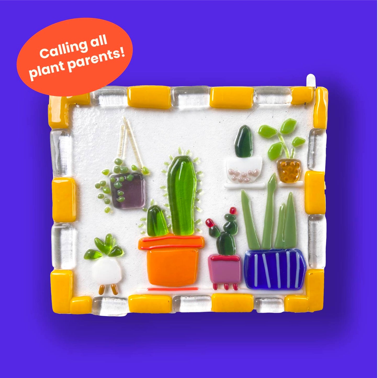 August 23 | Plant Portraits @ Cheer Up Charlies